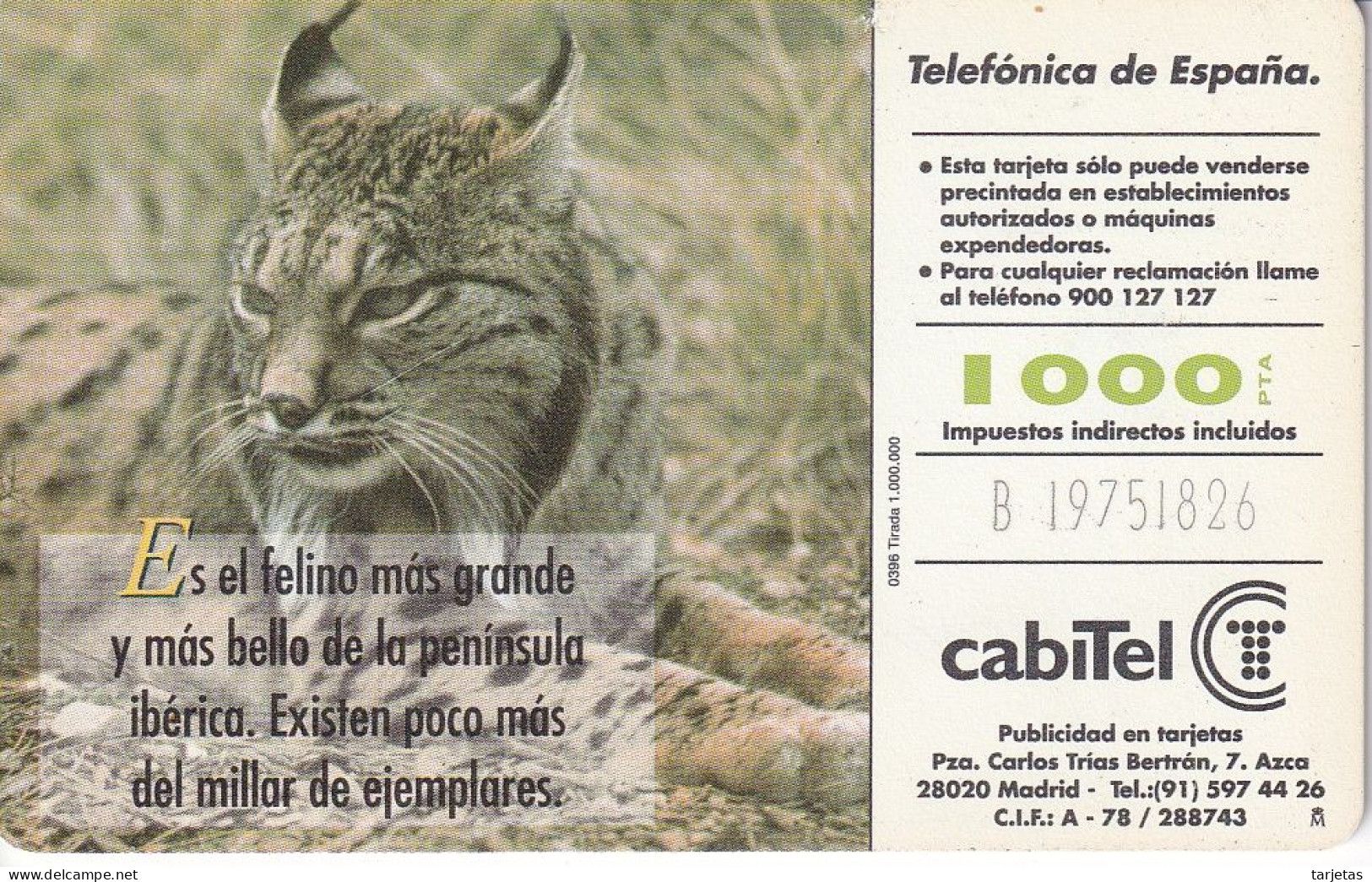 LASER - B-046/a/1 TARJETA LINCE IBERICO CHIP F-6  FAUNA IBERICA (LINX) MUY RARA - Emissions Basiques