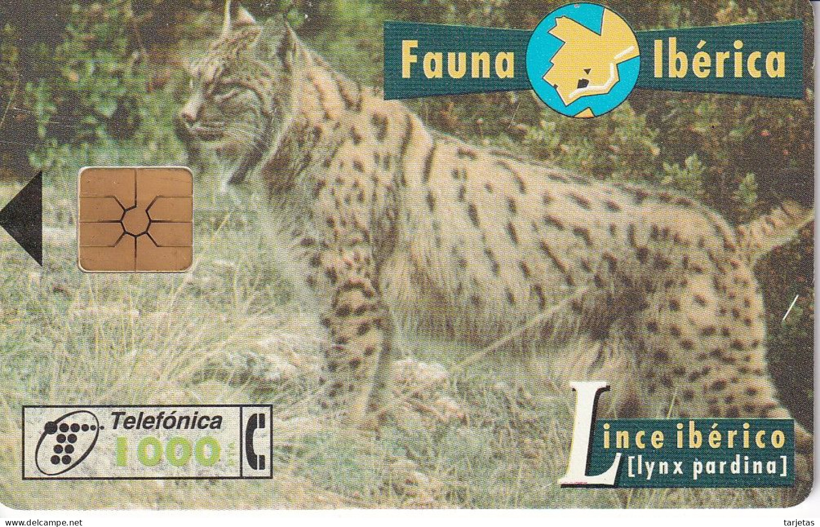 LASER - B-046/a/1 TARJETA LINCE IBERICO CHIP F-6  FAUNA IBERICA (LINX) MUY RARA - Emisiones Básicas