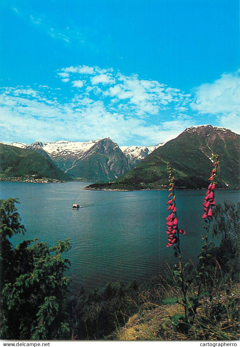 Navigation Sailing Vessels & Boats Themed Postcard Norway Sogn Pleasure Cruise Ship - Segelboote