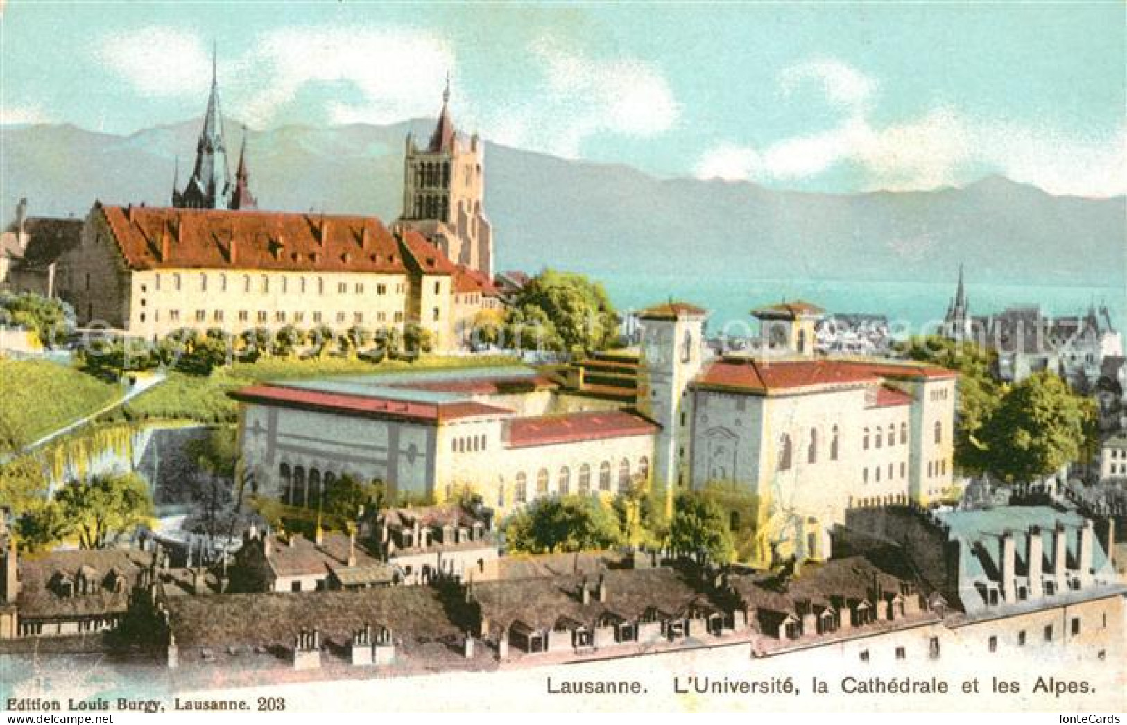 13065033 Lausanne VD Universite La Cathedrale Et Les Alpes Lausanne - Andere & Zonder Classificatie