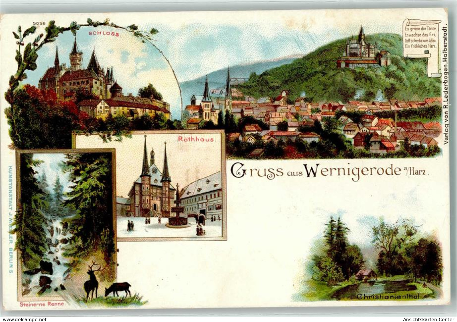 13916905 - Wernigerode - Wernigerode