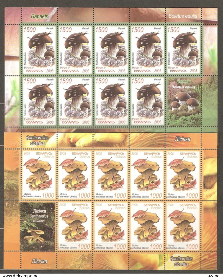 Belarus: 2 Mint Sheetlets, Plants - Mushrooms, 2008, Mi# 720-721, MNH - Bielorussia