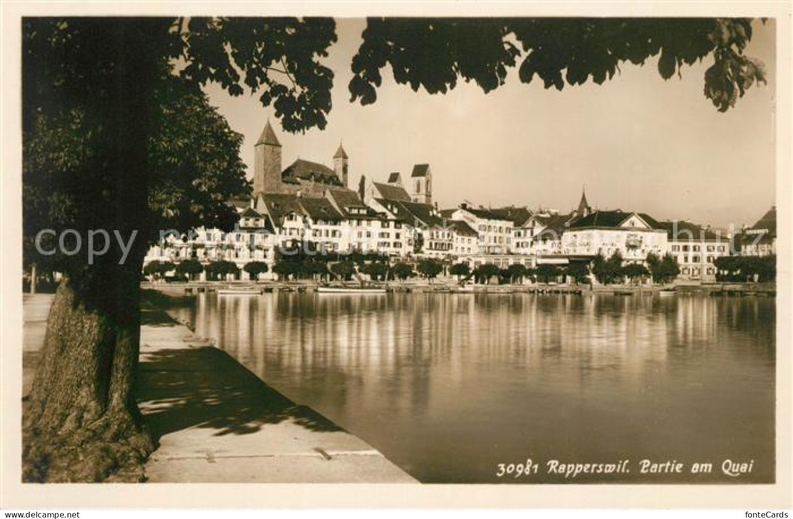 13064213 Rapperswil SG Partie Am Quai Rapperswil SG - Autres & Non Classés