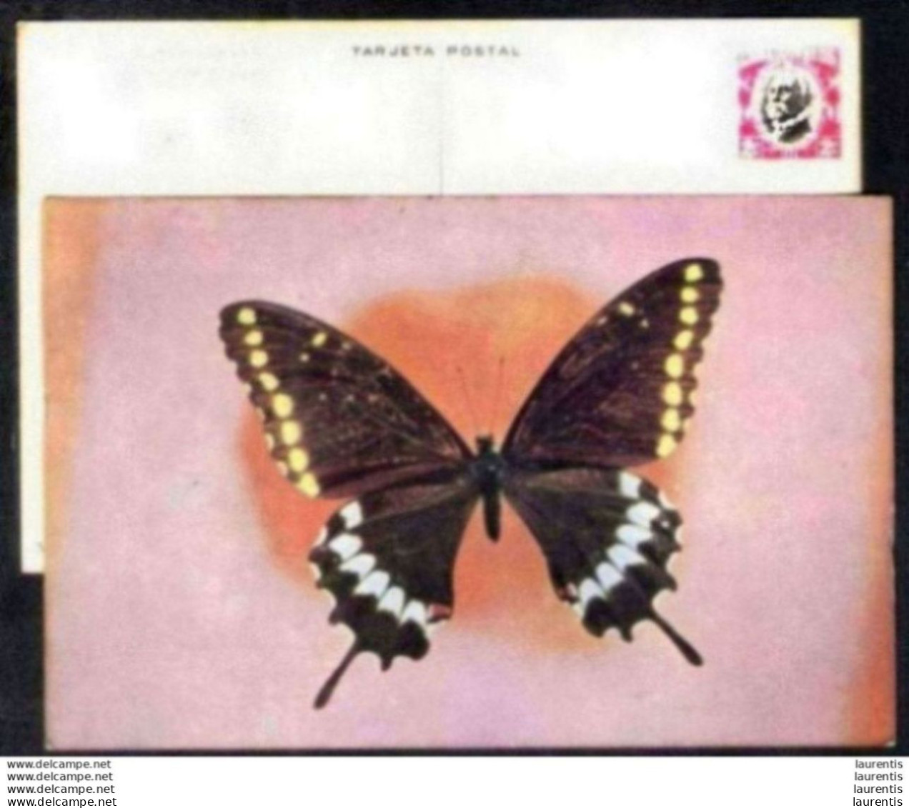 783   Butterflies - Papillons - Postal Stationery - 1974 - Cb - 4,50 - Vlinders