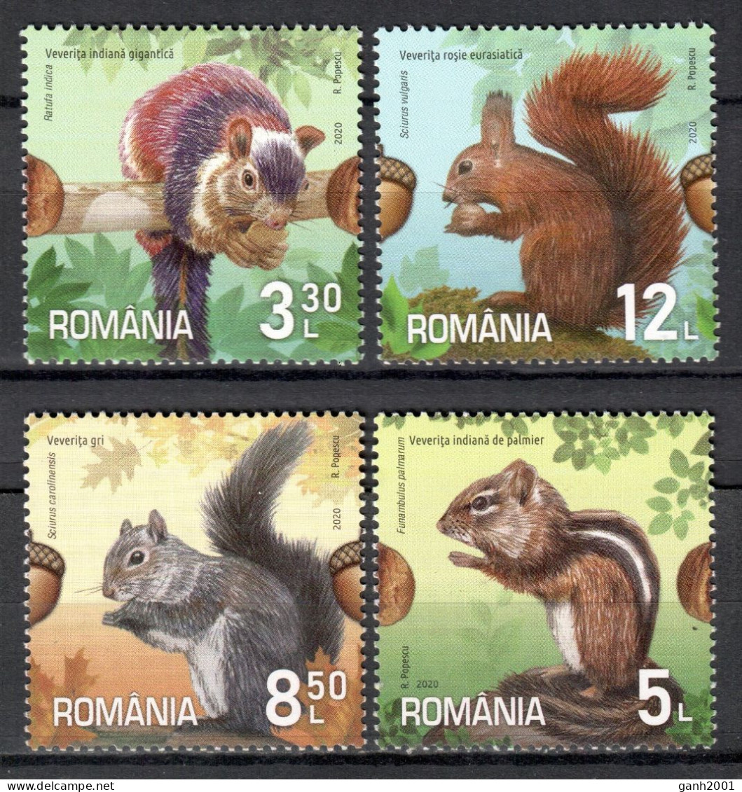 Romania 2020 Rumanía / Squirrels Mammals Animals MNH Fauna Ardillas Säugetiere / Cu21330  18-16 - Altri & Non Classificati