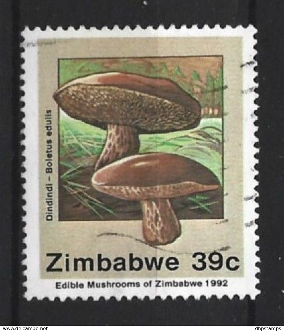 Zimbabwe 1992 Mushrooms  Y.T. 251 (0) - Zimbabwe (1980-...)