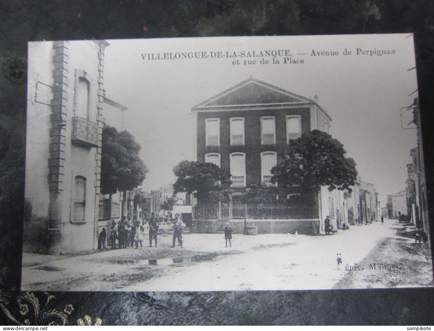 Carte Postale Pyrénées Orientales, Villelongue De La Salanque, Avenue De Perpignan - Other & Unclassified