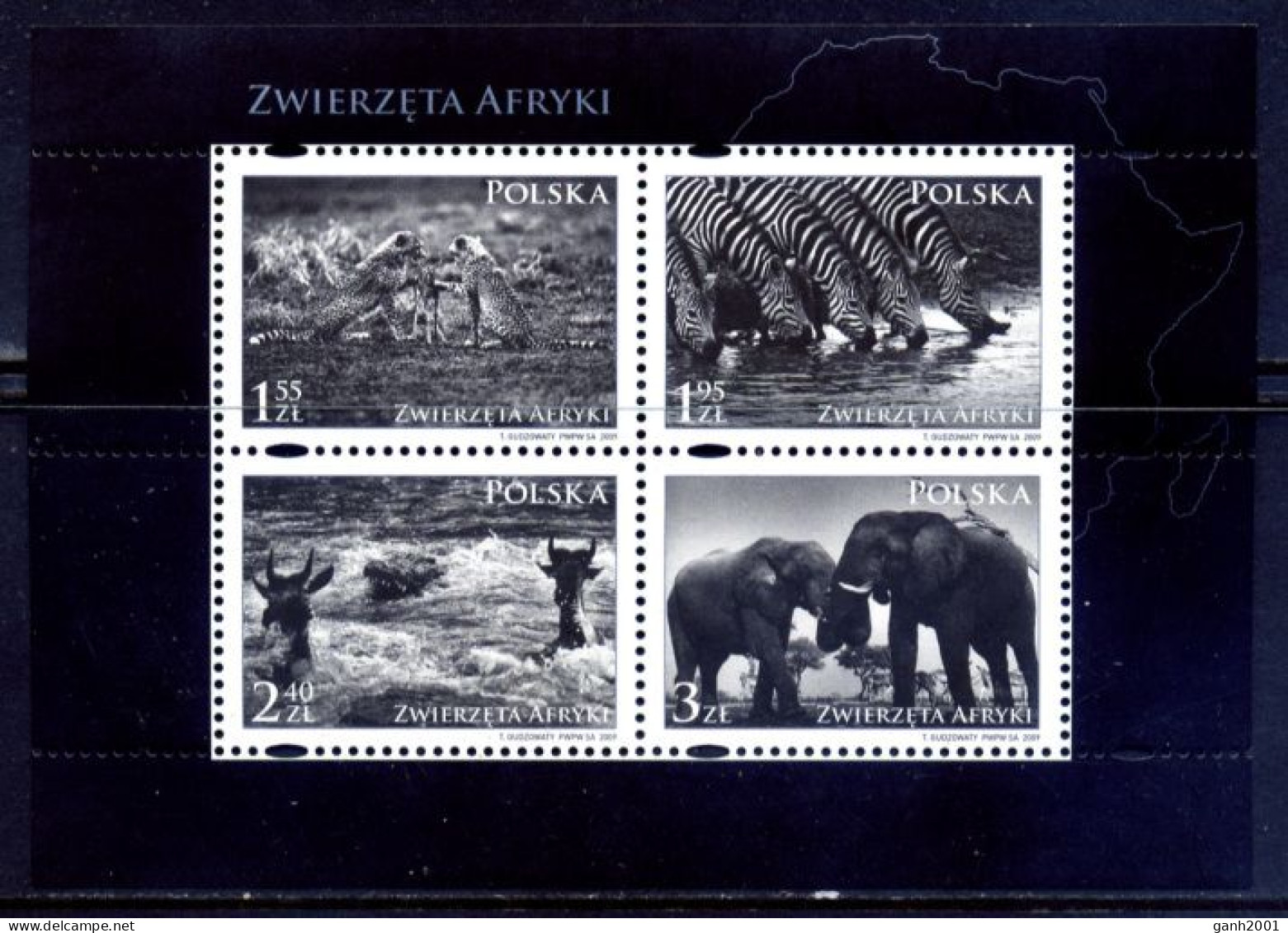 Poland 2009 Polonia / African Animals Mammals MNH Fauna Africana Mamíferos Säugetiere / Gq37  34-16 - Autres & Non Classés