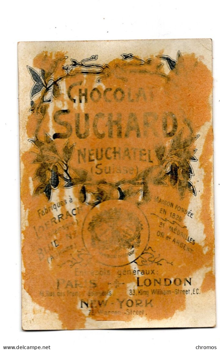 Chromo Chocolat Suchard, S 80 / 4, Dinosaure - Suchard