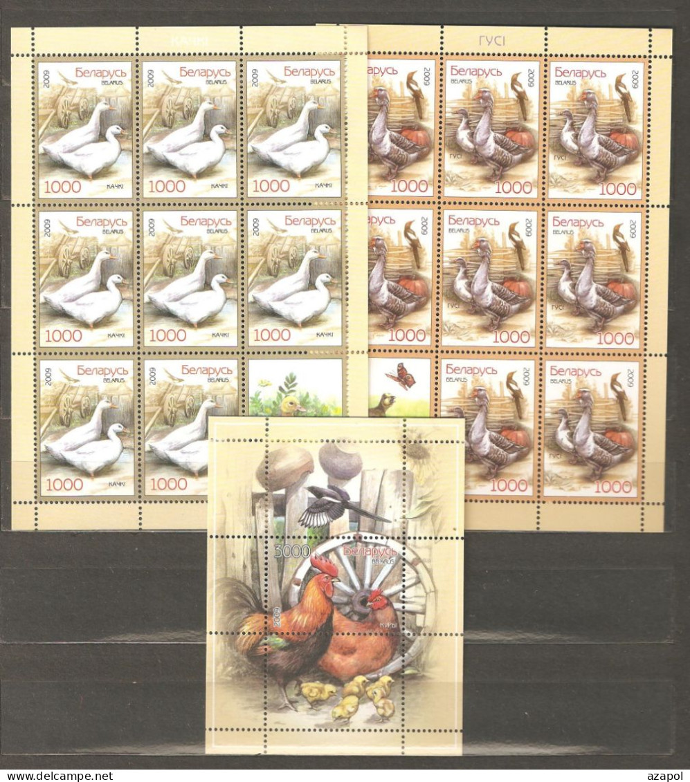 Belarus: 2 Mint Sheetlets And 1 Block, Birds - Domestic Birds, 2009, Mi# 766-767, Bl65, MNH - Autres & Non Classés