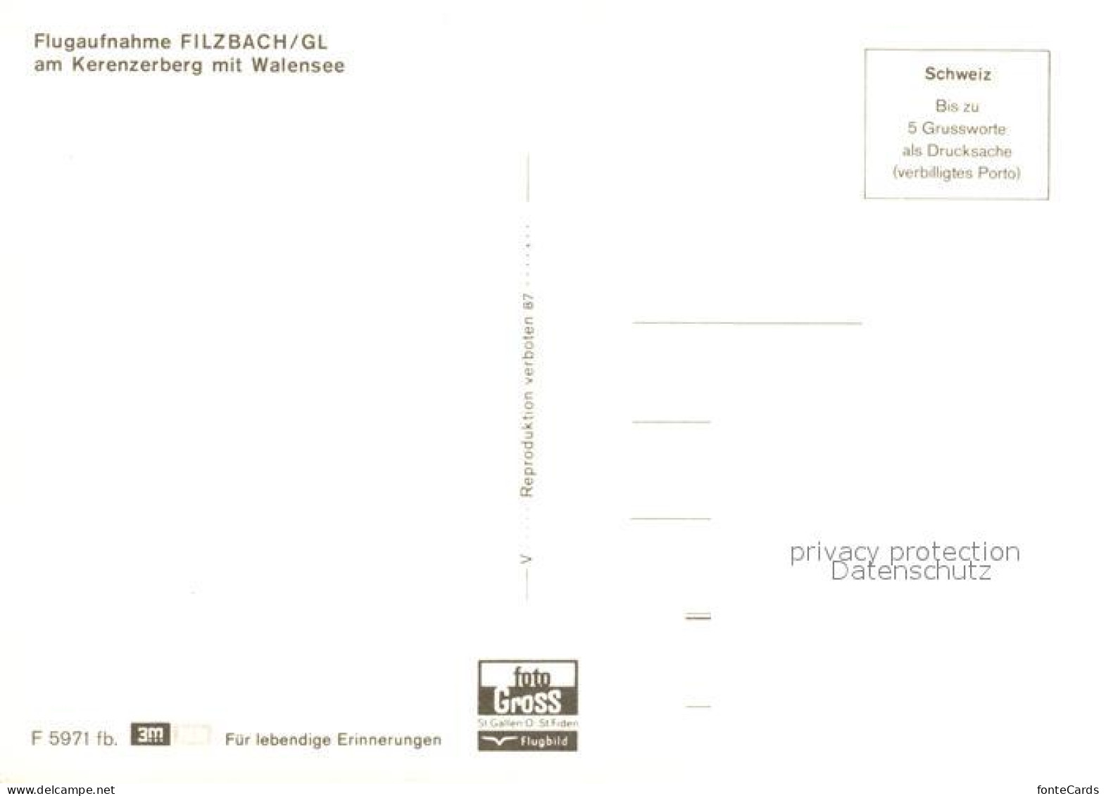 13055908 Filzbach Fliegeraufnahme Mit Walensee Filzbach - Autres & Non Classés