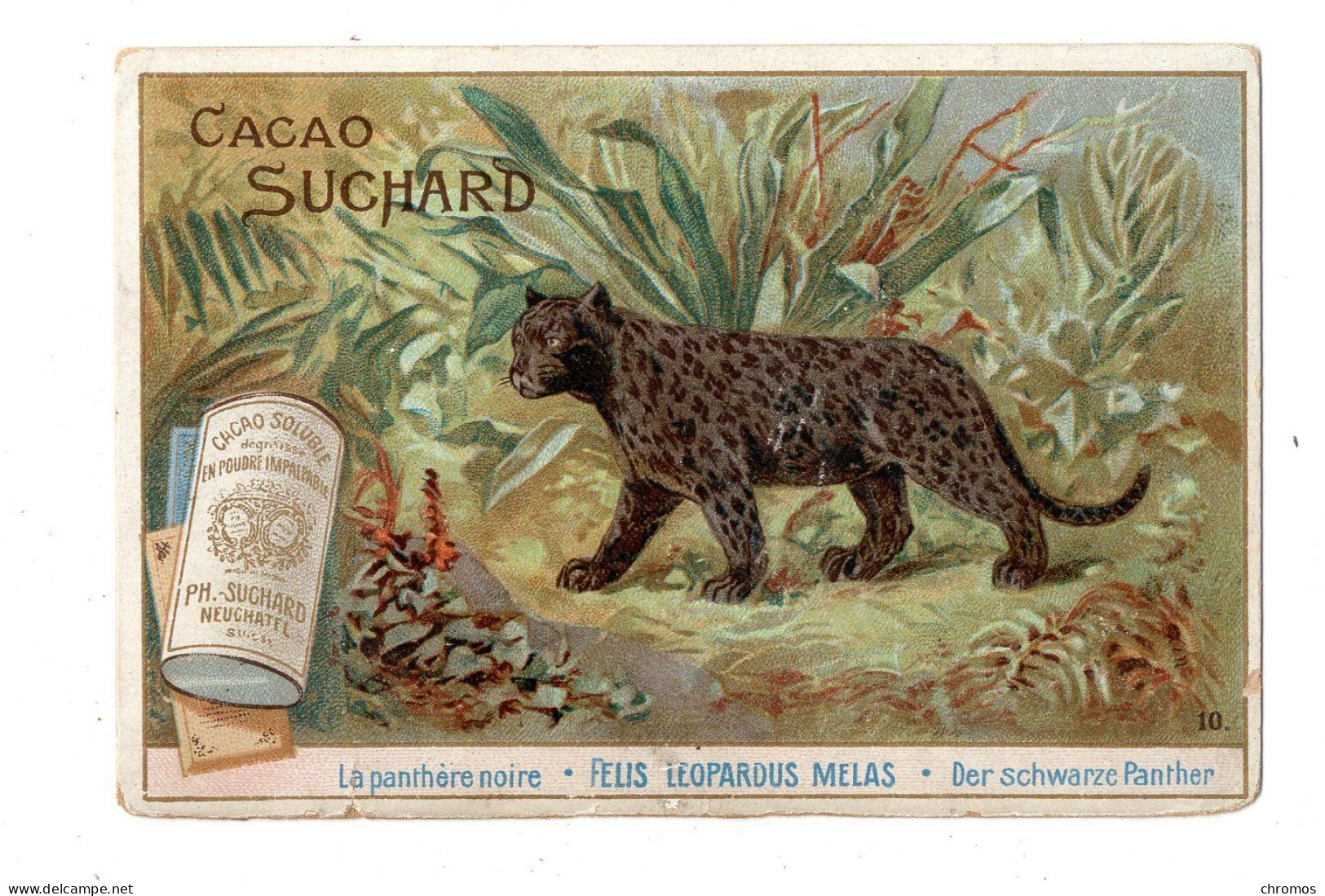 Chromo Chocolat Suchard, S 75 / 10, Panthère - Suchard