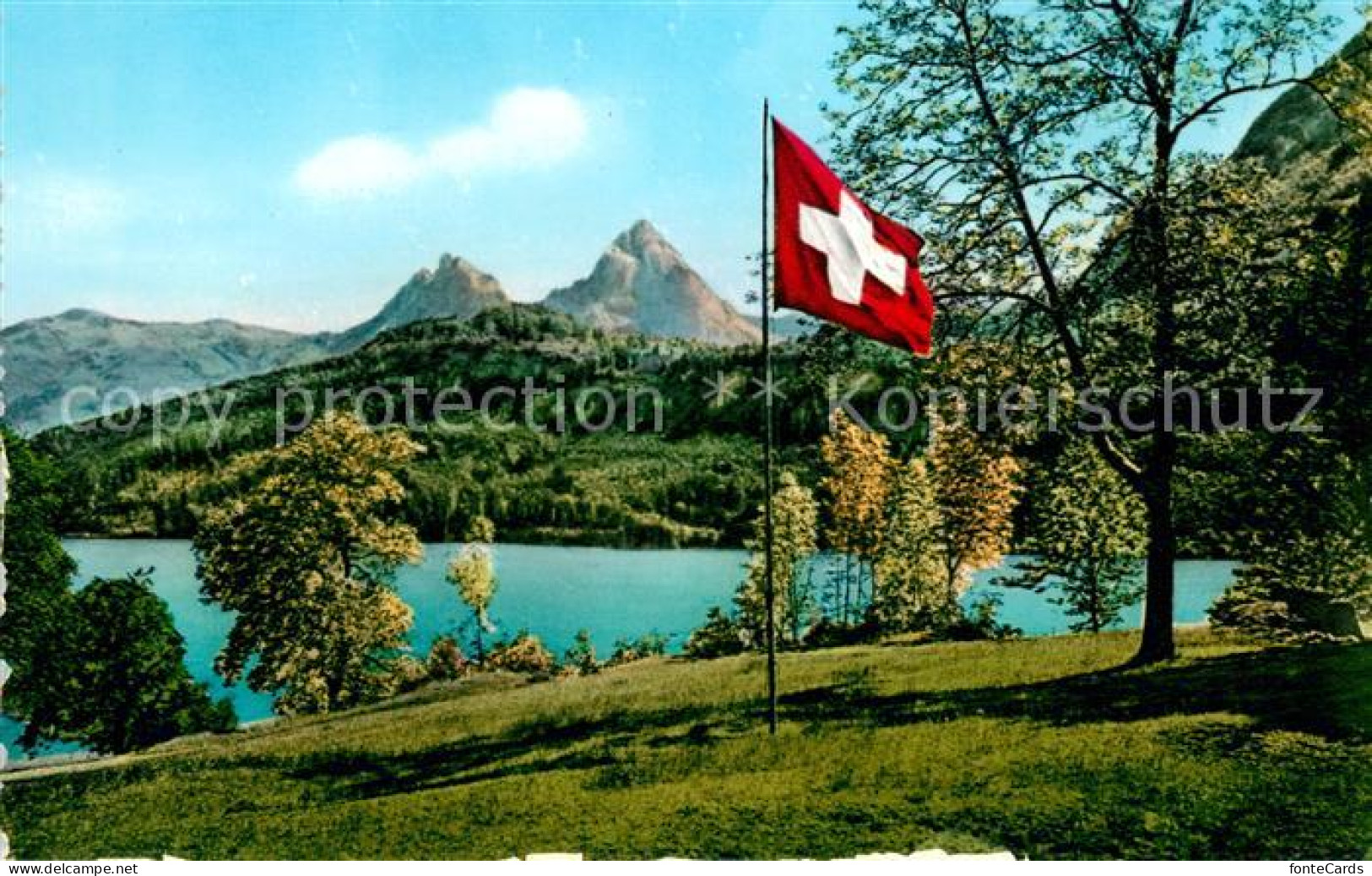 13040822 Ruetli Vierwaldstaettersee Ruetliwiese Schweizer Flagge Und Die Mythen  - Autres & Non Classés