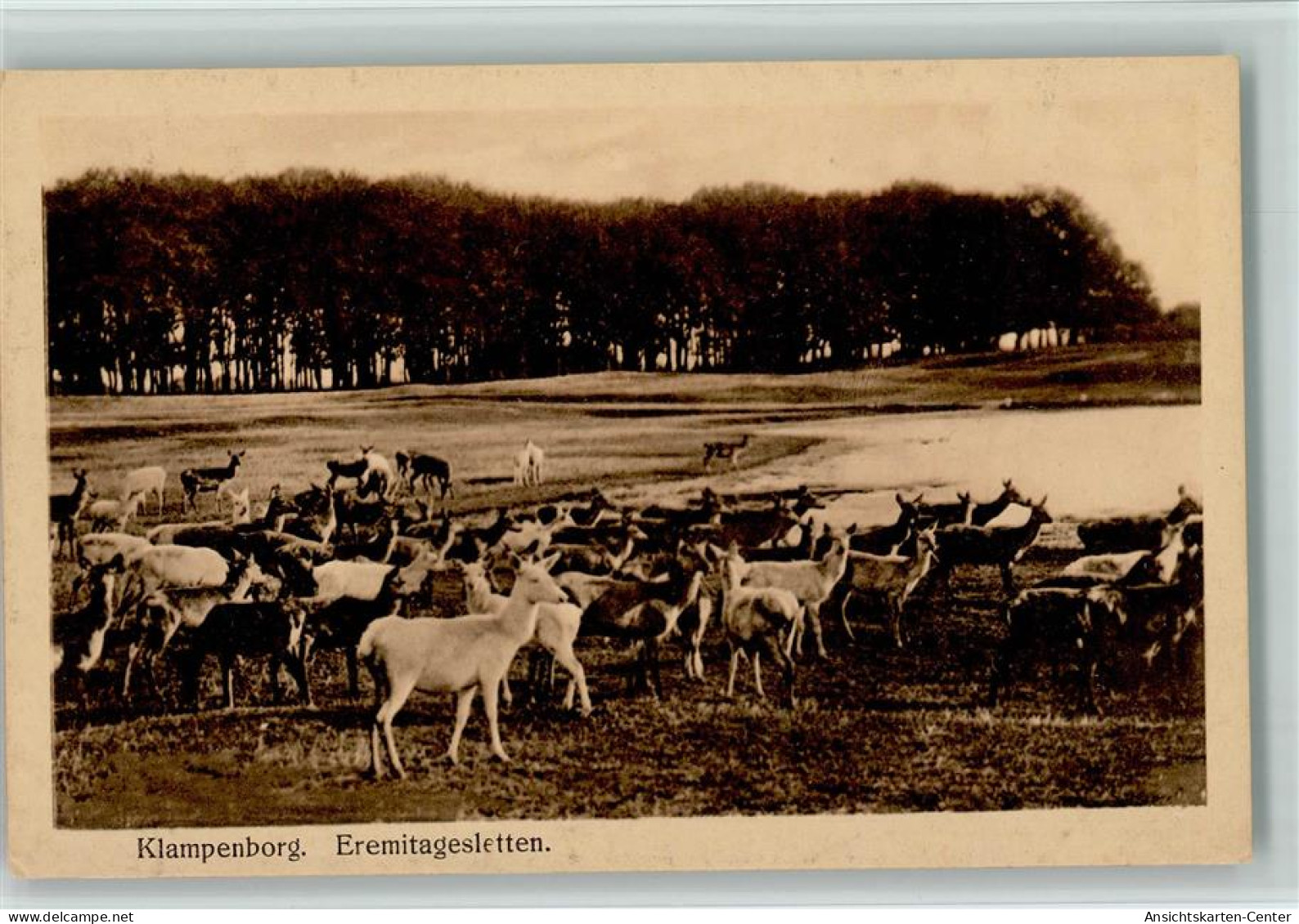 12095905 - Tiere  Klampenborg - - Sonstige & Ohne Zuordnung