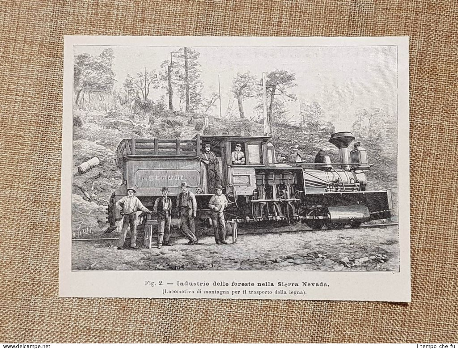 In Sierra Nevada Nel 1896 Locomotiva Usata Nell'industria Delle Foreste - Ante 1900