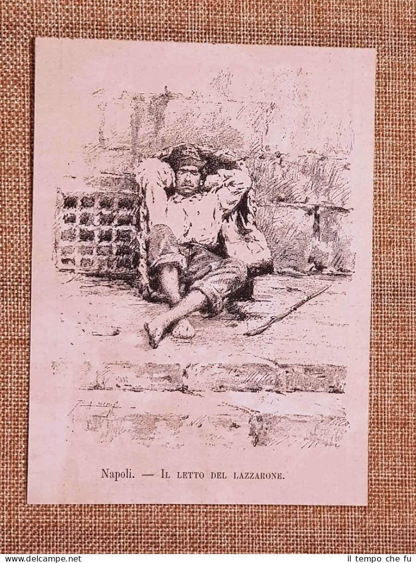 Napoli Il Letto Del Lazzarone Incisione Del 1881 Moda E Costume - Avant 1900