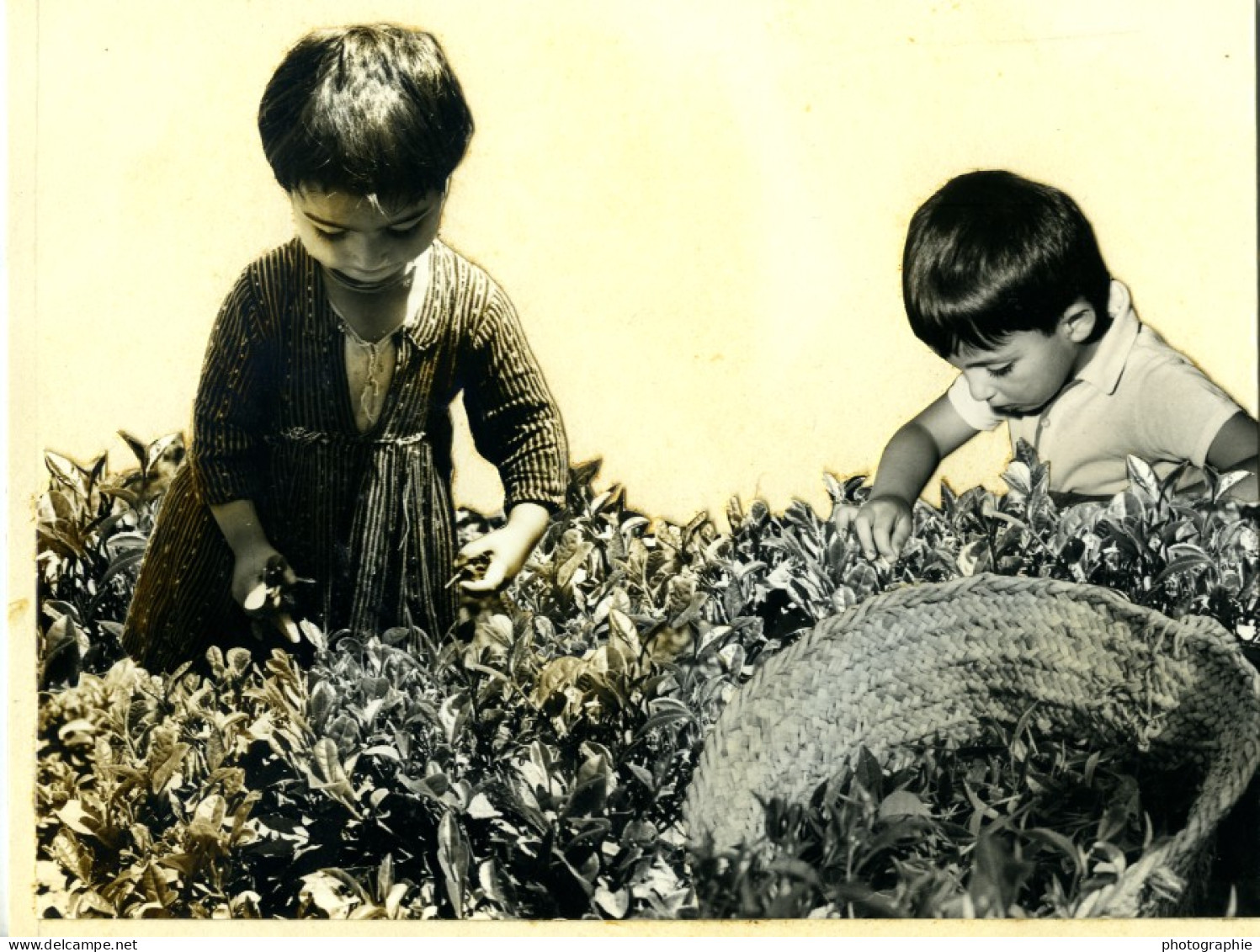 Iran Djafar Le Petit Iranien Ancienne Photo Découpée Photomontage Darbois 1968 - Sonstige & Ohne Zuordnung