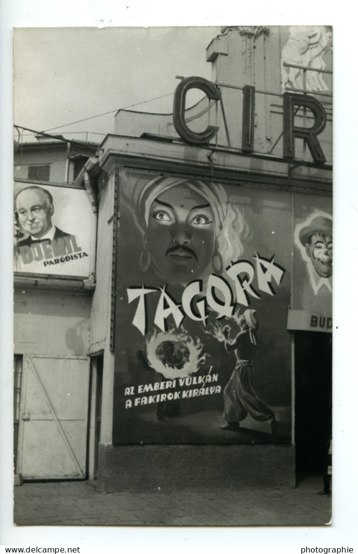 Hongrie Tagora Magicien Illusioniste Cirque Ancienne Photo 1958 - Célébrités