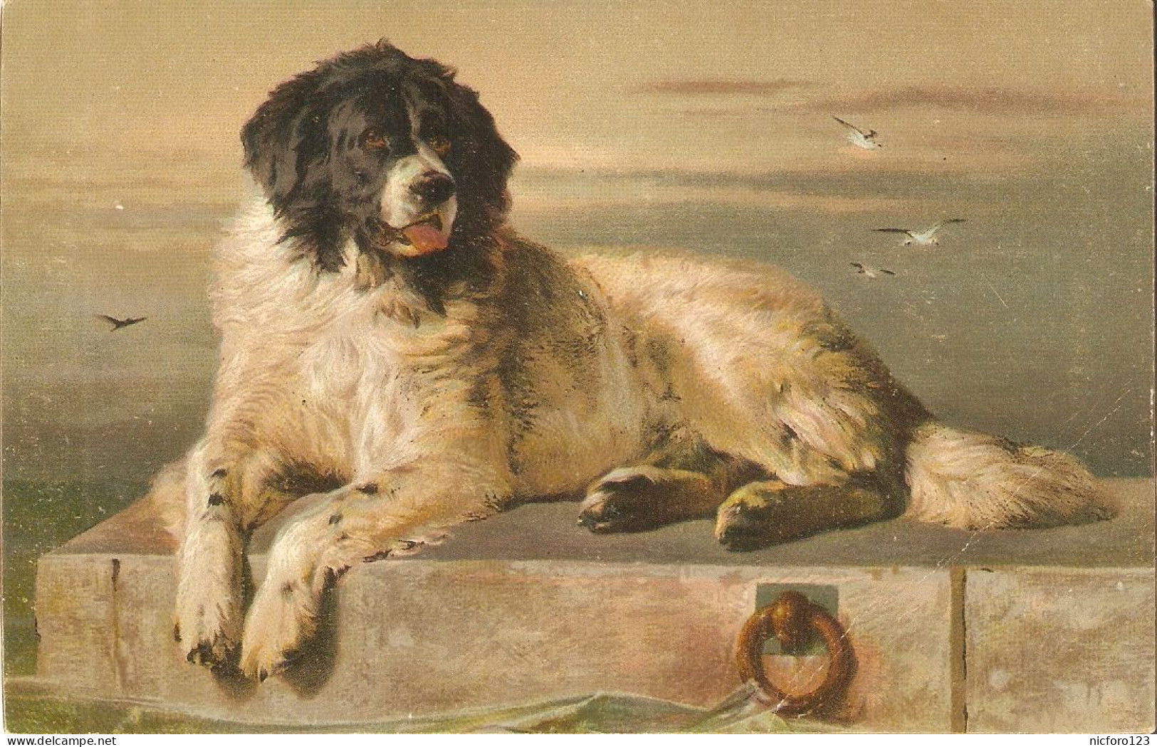 "Landseer. Ein Hervorragendes Mitglied Der......  ". Fine Art, Painting, Stengel Postcard # 29185 - Paintings