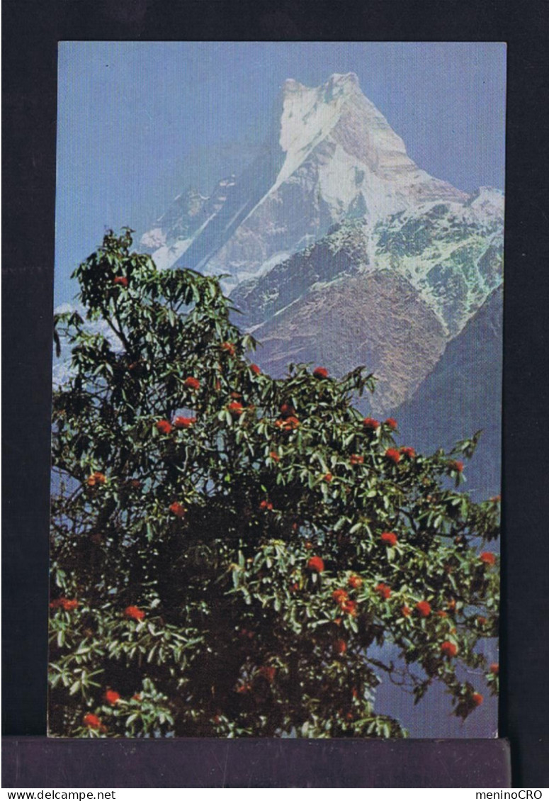 Gc8508 NEPAL Wild Faune Animals PANTHERA Hidro Electric Station /Postcard Hotel Shaileshwa Ri Mailed Blieskastel -BRD - Elektrizität