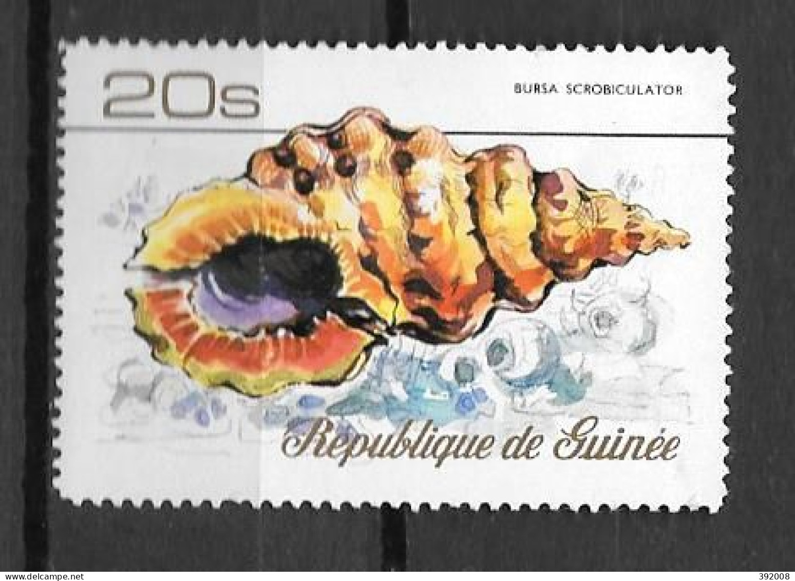 1977 - N°588**MNH - Coquillage - Guinee (1958-...)