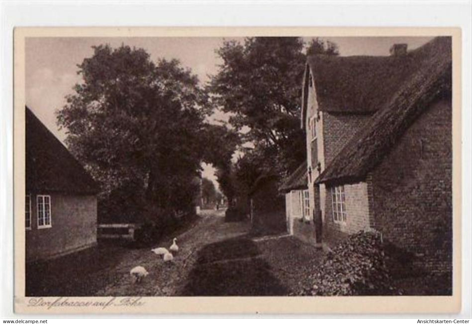 39069405 - Dorfstrasse Auf Foehr, Boldixum Ungelaufen  Gute Erhaltung. - Andere & Zonder Classificatie