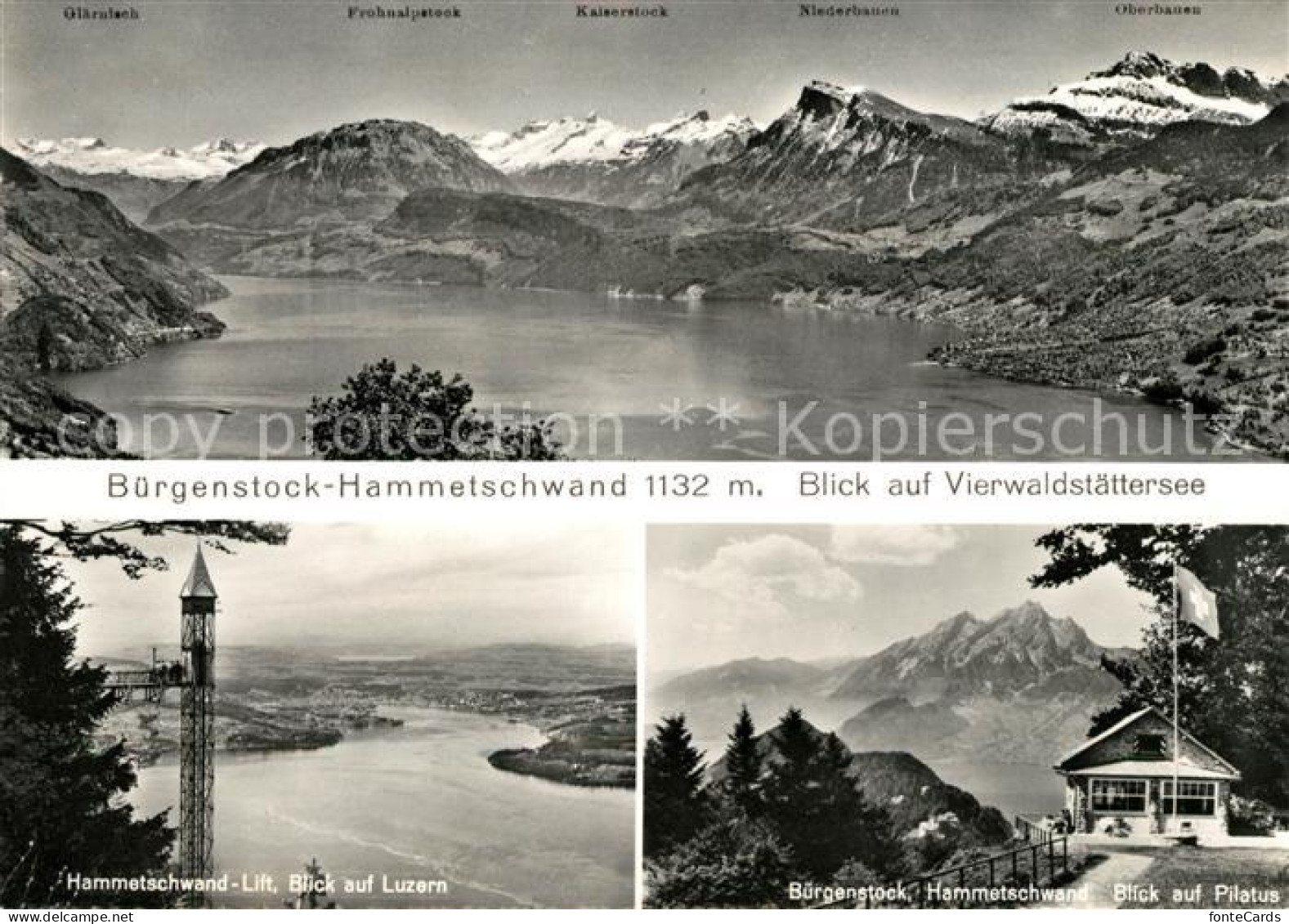 13027238 Hammetschwand Buergenstock Vierwaldstattersee Pilatus  Hammetschwand Bu - Otros & Sin Clasificación