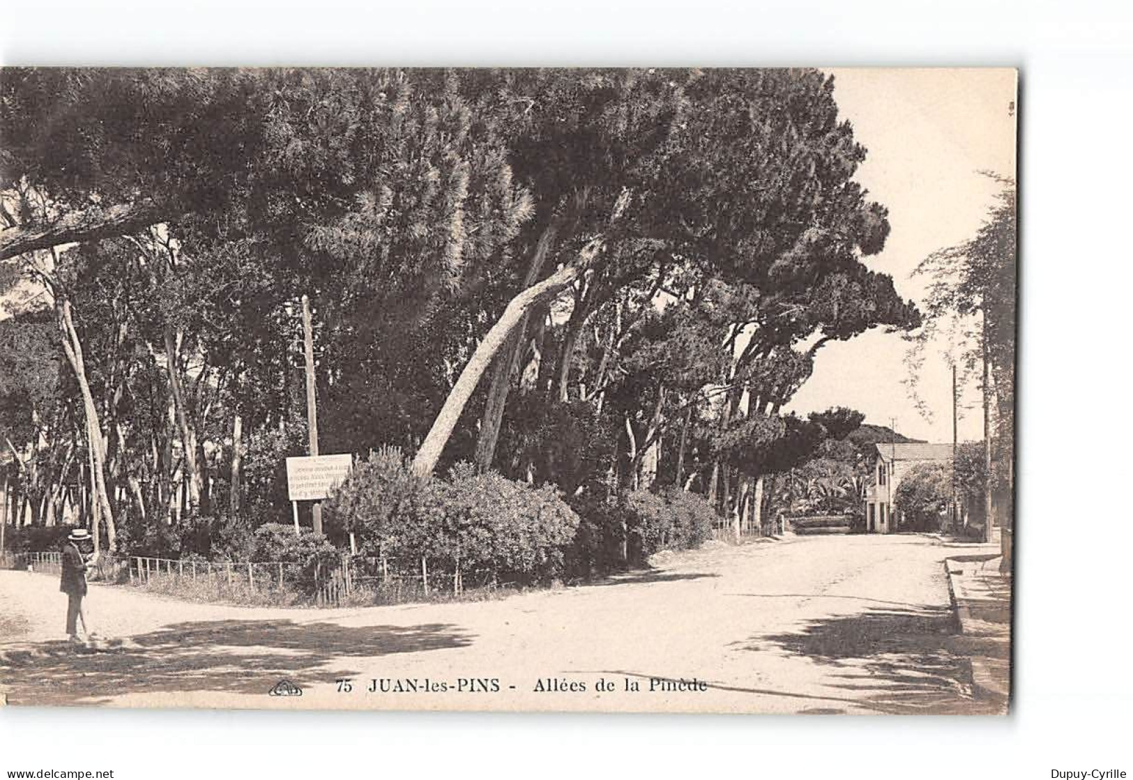 JUAN LES PINS - Allées De La Pinède - état - Juan-les-Pins