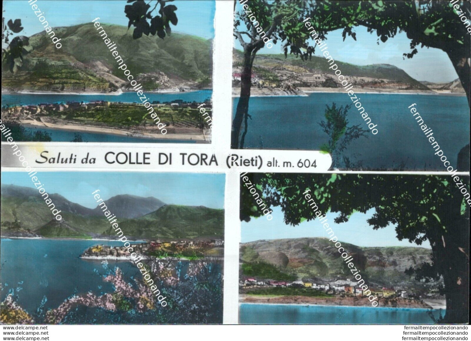 As561 Cartolina Saluti Da Colle Di Tora Provincia Di Rieti - Rieti