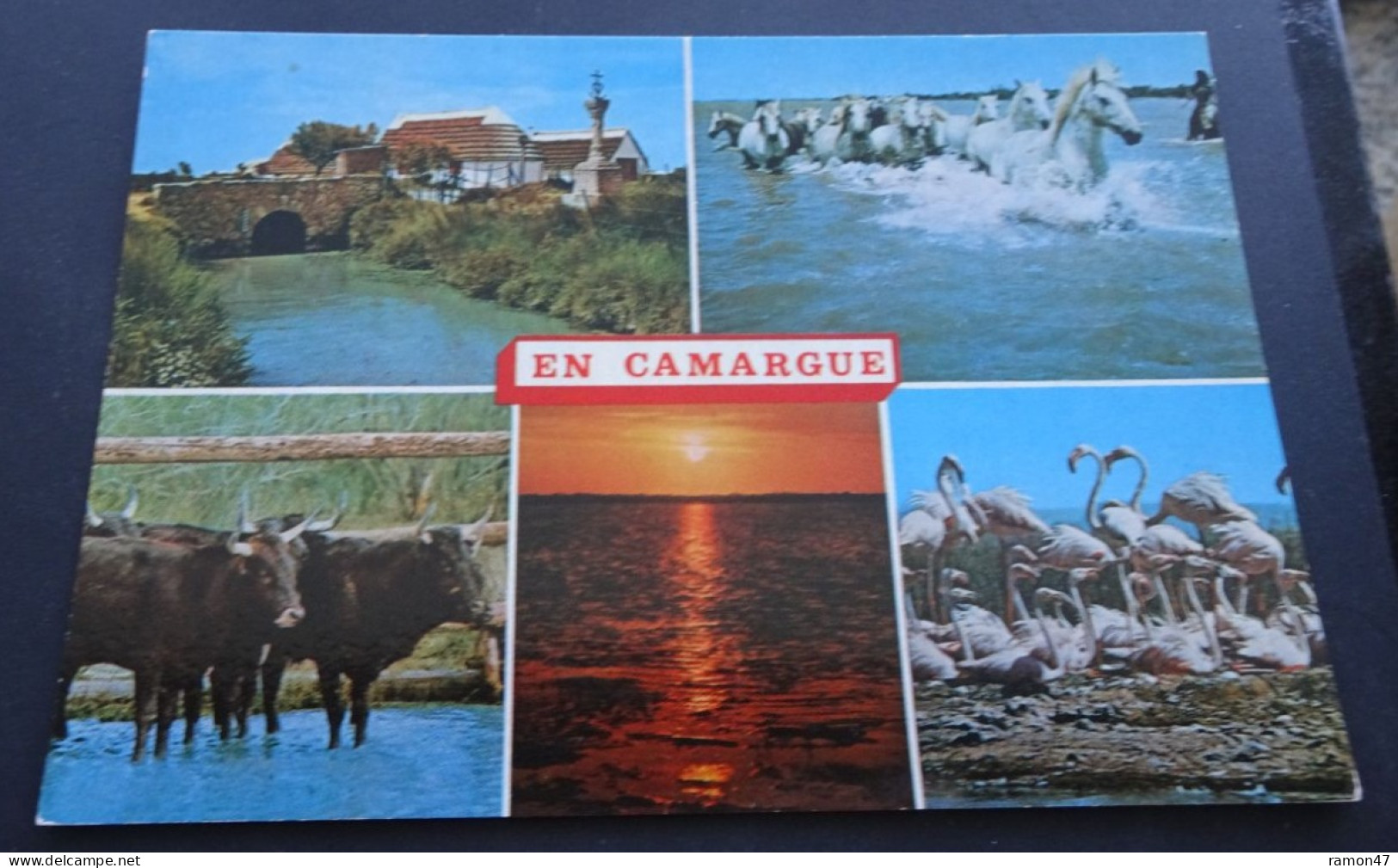 En Camargue - Souvenirs - Editions S.L., Villeurbanne - Sonstige & Ohne Zuordnung