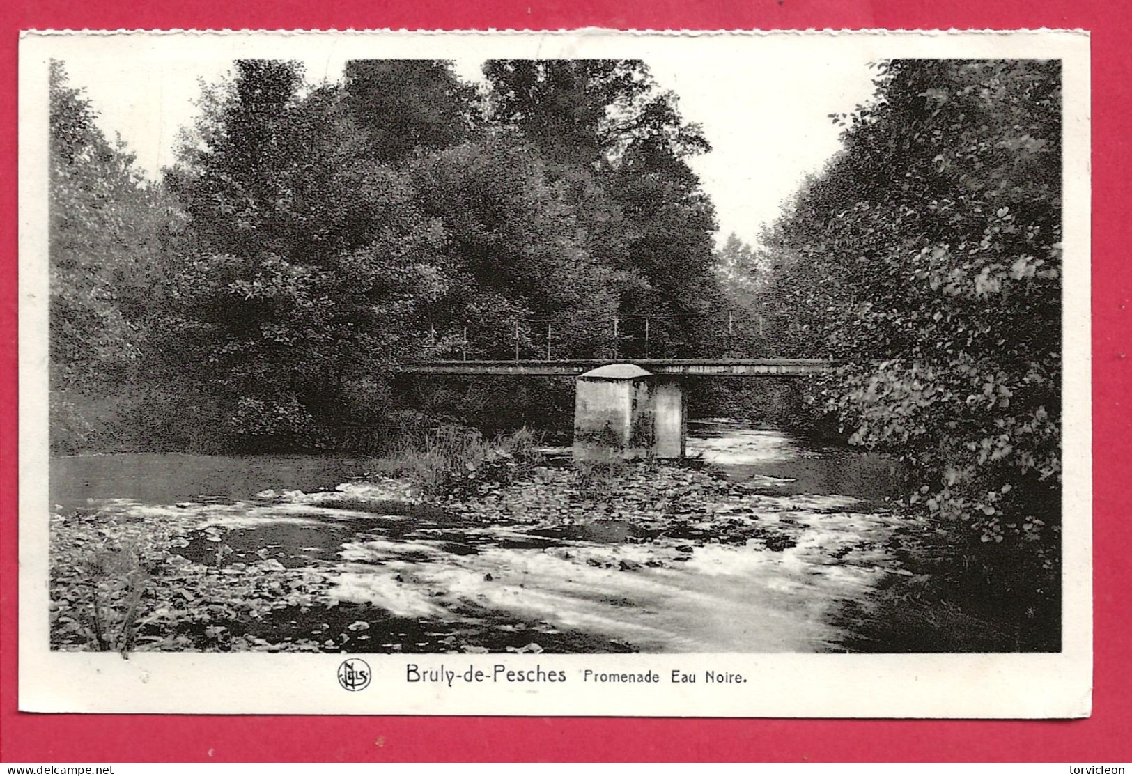 C.P. Brûly-de-Pesche =   Promenade  De L' Eau  Noire  Rivière - Couvin