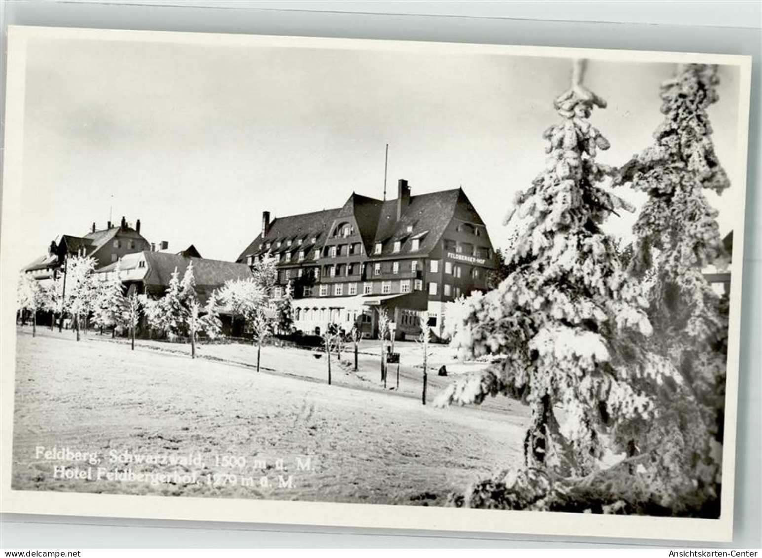 39773105 - Feldberg , Schwarzwald - Feldberg