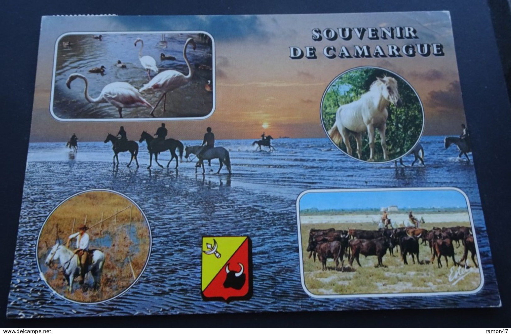 Souvenir De Camargue - Flamants, Chevauxx, Gardians Et Taureaux - Editions ESTEL, Blois - Other & Unclassified