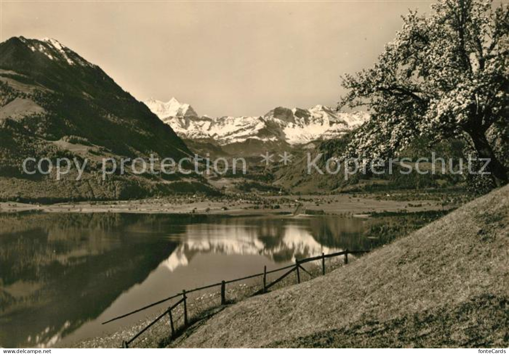 13014040 Wilen Sarnen Sarnersee Mit Berner Alpen Sarnen - Autres & Non Classés