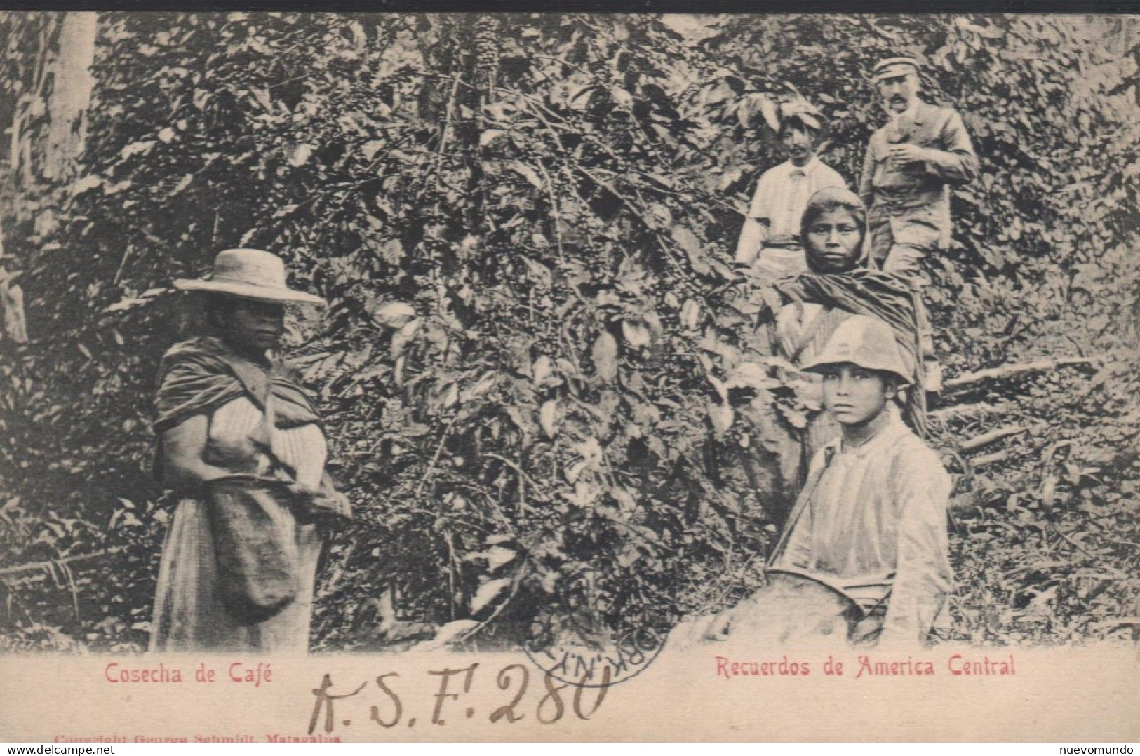 Recuerdos De America Central. Cosecha De Café.Editor George Schmidt.Rara - Nicaragua