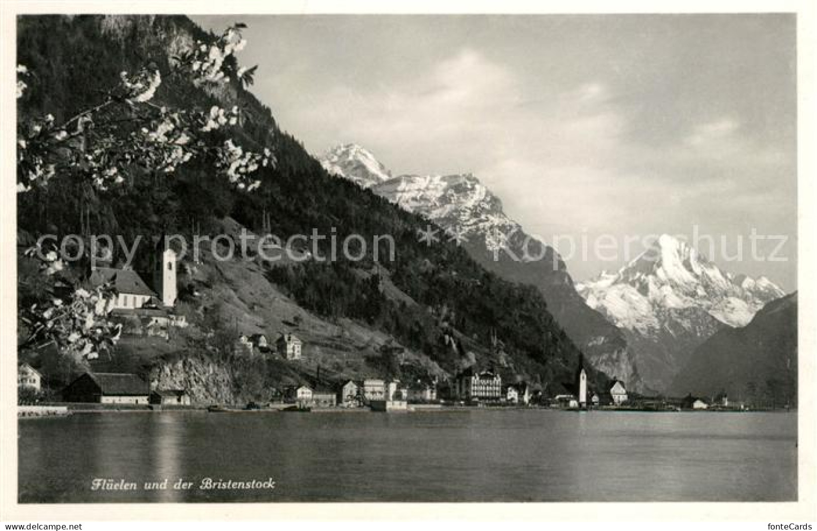 13012822 Flueelen UR Blick Ueber Den Urnersee Zum Bristenstock Glarner Alpen Flu - Sonstige & Ohne Zuordnung