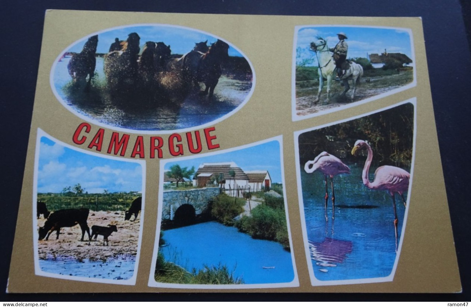 Camargue - Souvenir De Camargue - Editions S.E.P.T., Nice - Sonstige & Ohne Zuordnung