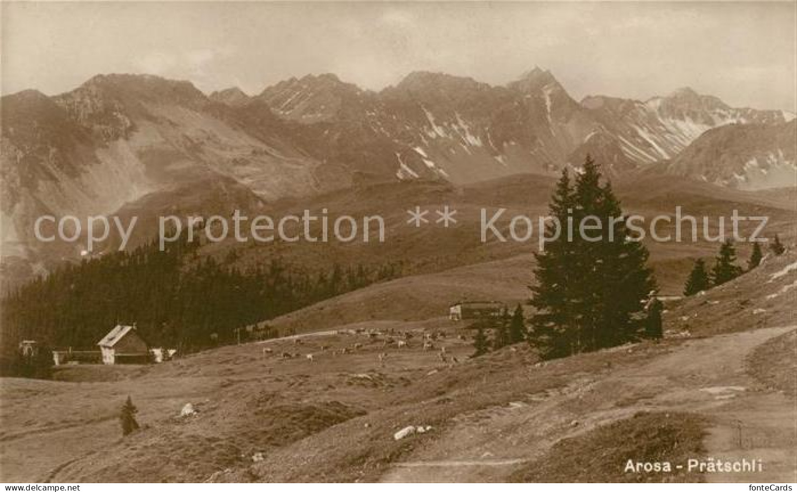 13012798 Arosa GR Praetschli Alpenpanorama Arosa - Sonstige & Ohne Zuordnung