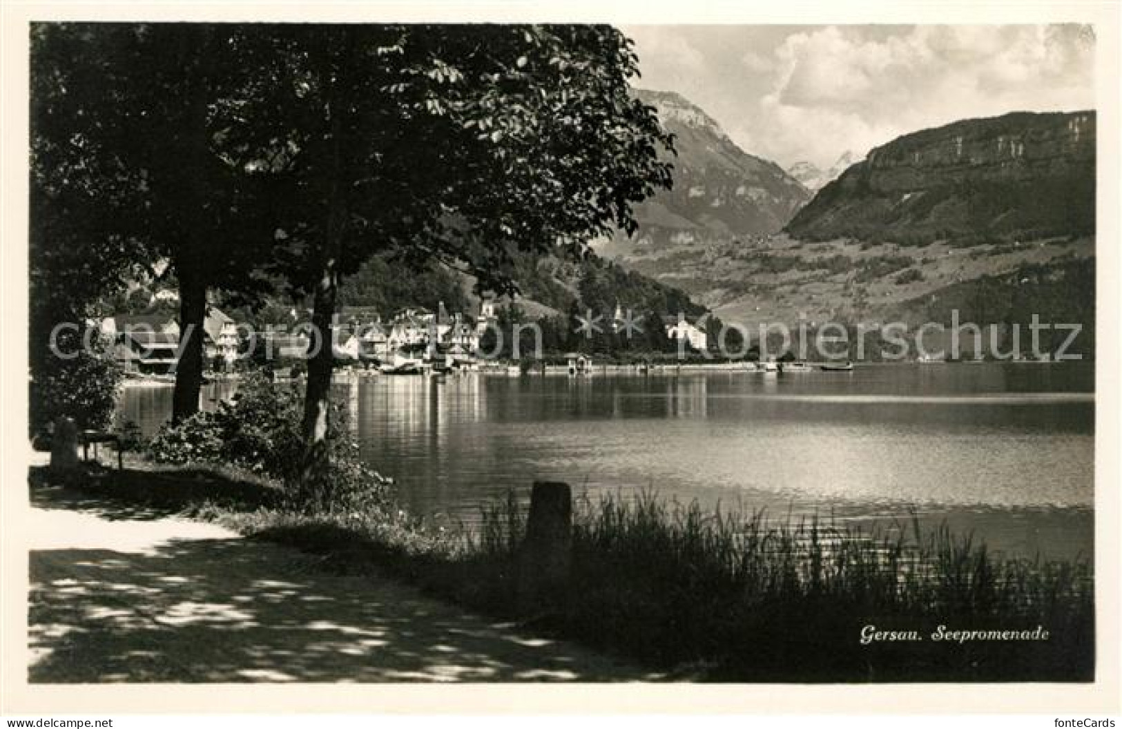 13012790 Gersau Vierwaldstaettersee Seepromenade Alpenblick Gersau - Andere & Zonder Classificatie