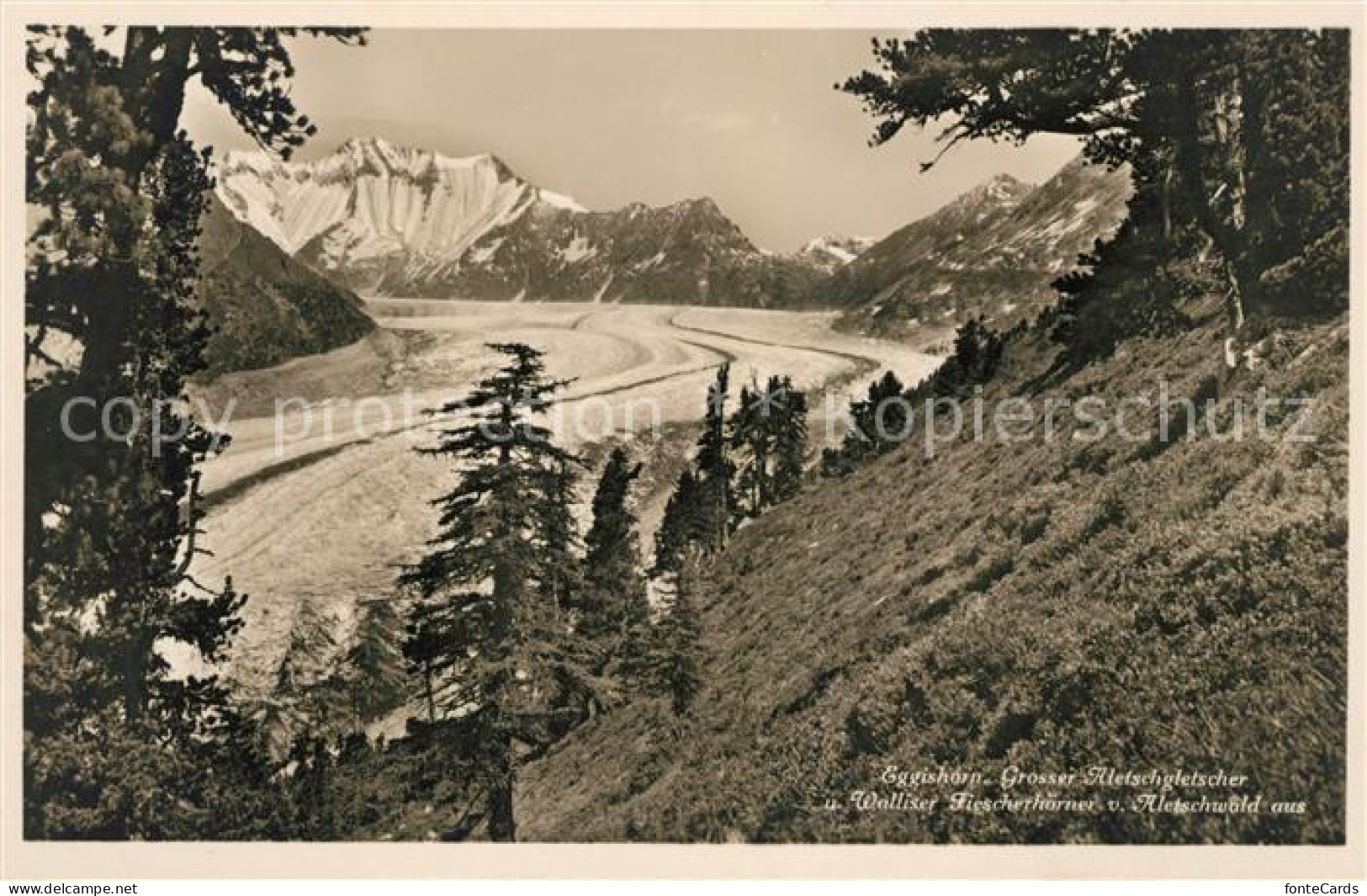 13010808 Eggishorn Gebirgspanorama Grosser Aletschgletscher Walliser Fiescherhoe - Altri & Non Classificati