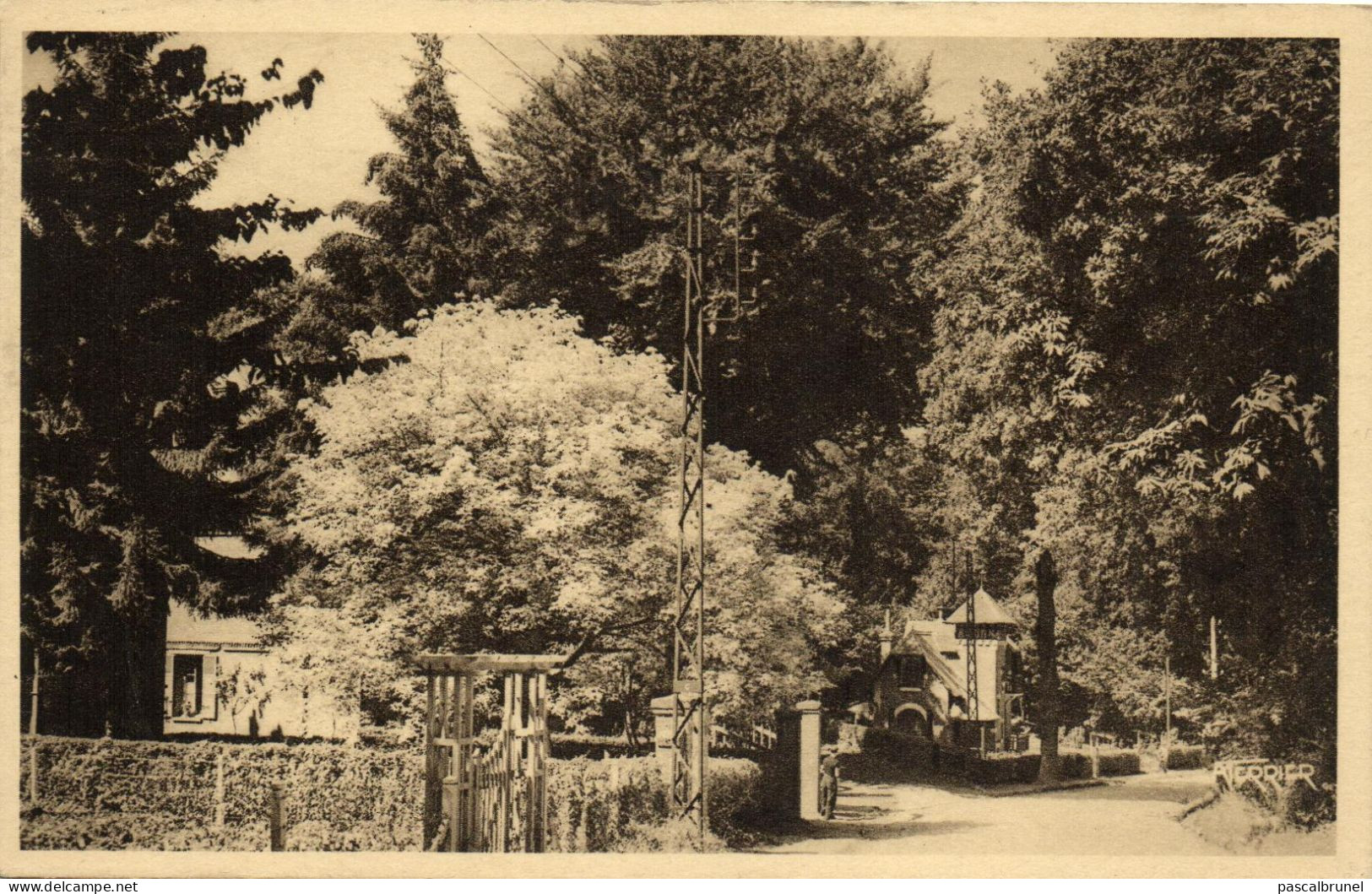 AULT - BOIS DE CISE - LA DESCENTE VERS LA MER - Ault