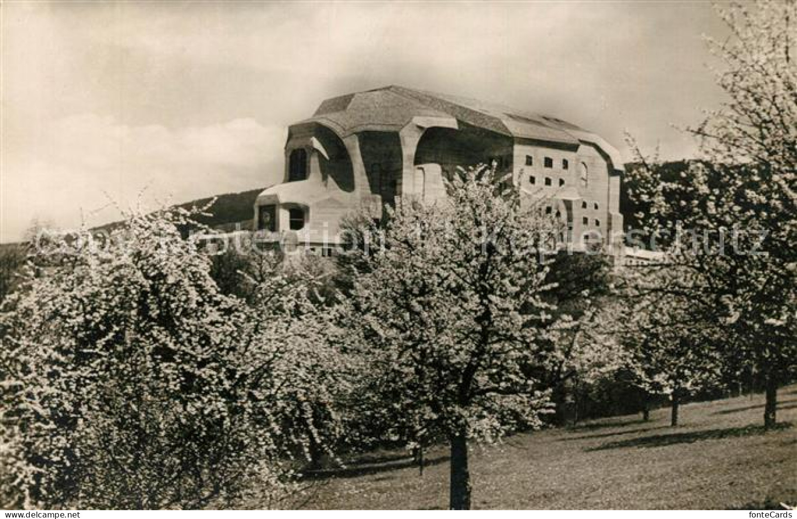 13010550 Dornach SO Goetheanum Dornach - Sonstige & Ohne Zuordnung