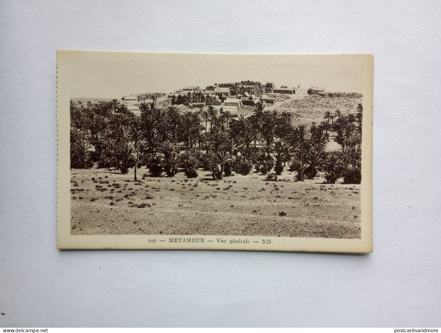 Tunisia Lot of 38 unused postcards Lévy et Neurdein Réunis ca. 1925