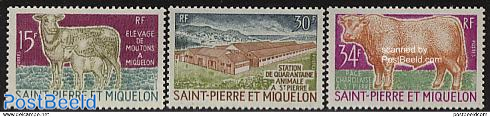 Saint Pierre And Miquelon 1970 Cattle 3v, Unused (hinged), Nature - Cattle - Sonstige & Ohne Zuordnung