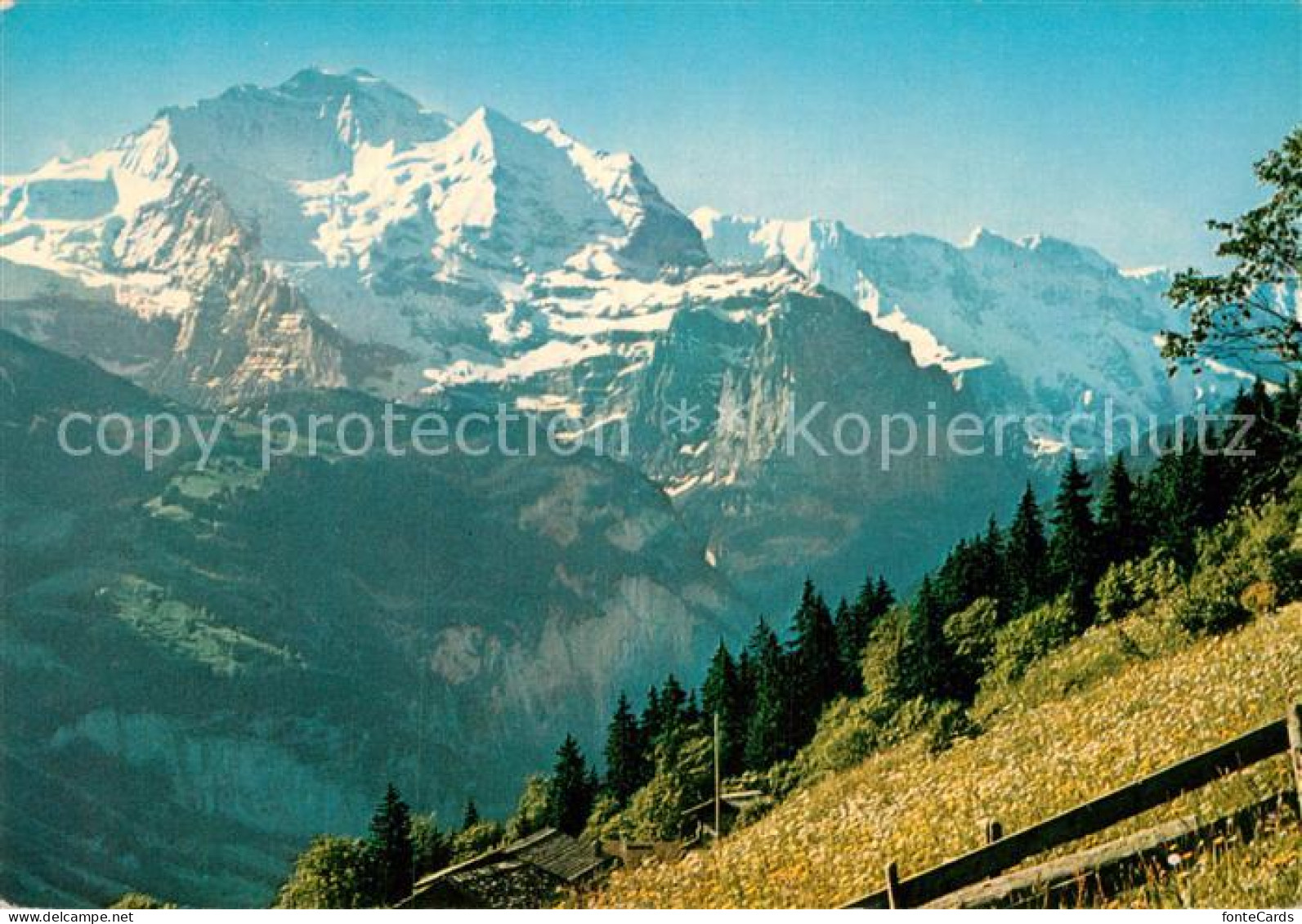 13003982 Berner Oberland Jungfrau Massiv Berner Oberland - Andere & Zonder Classificatie