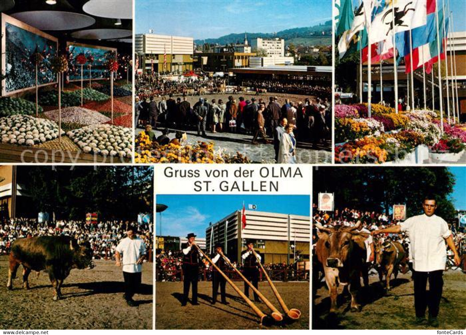 13003083 St Gallen SG OLMA Schweizer Messe Fuer Land Und Milchwirtschaft Details - Andere & Zonder Classificatie