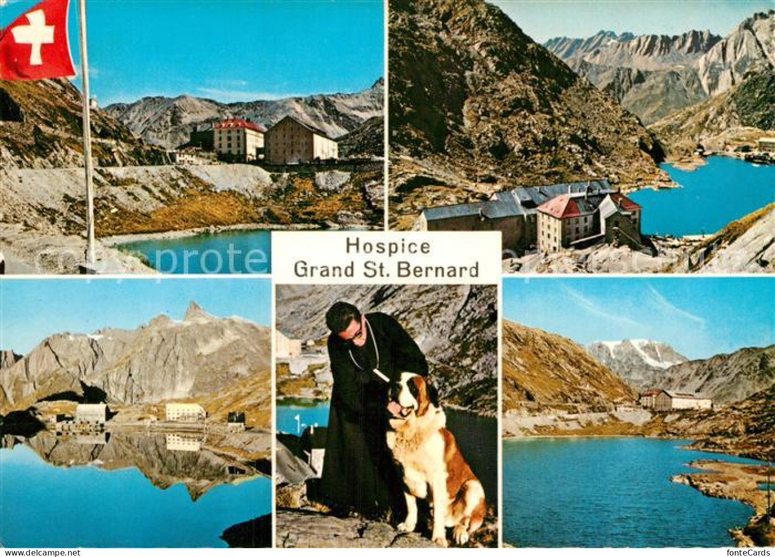 12995640 Grand Saint Bernard Hospice Panorama See Mann Mit Bernhardiener Hund Gr - Altri & Non Classificati