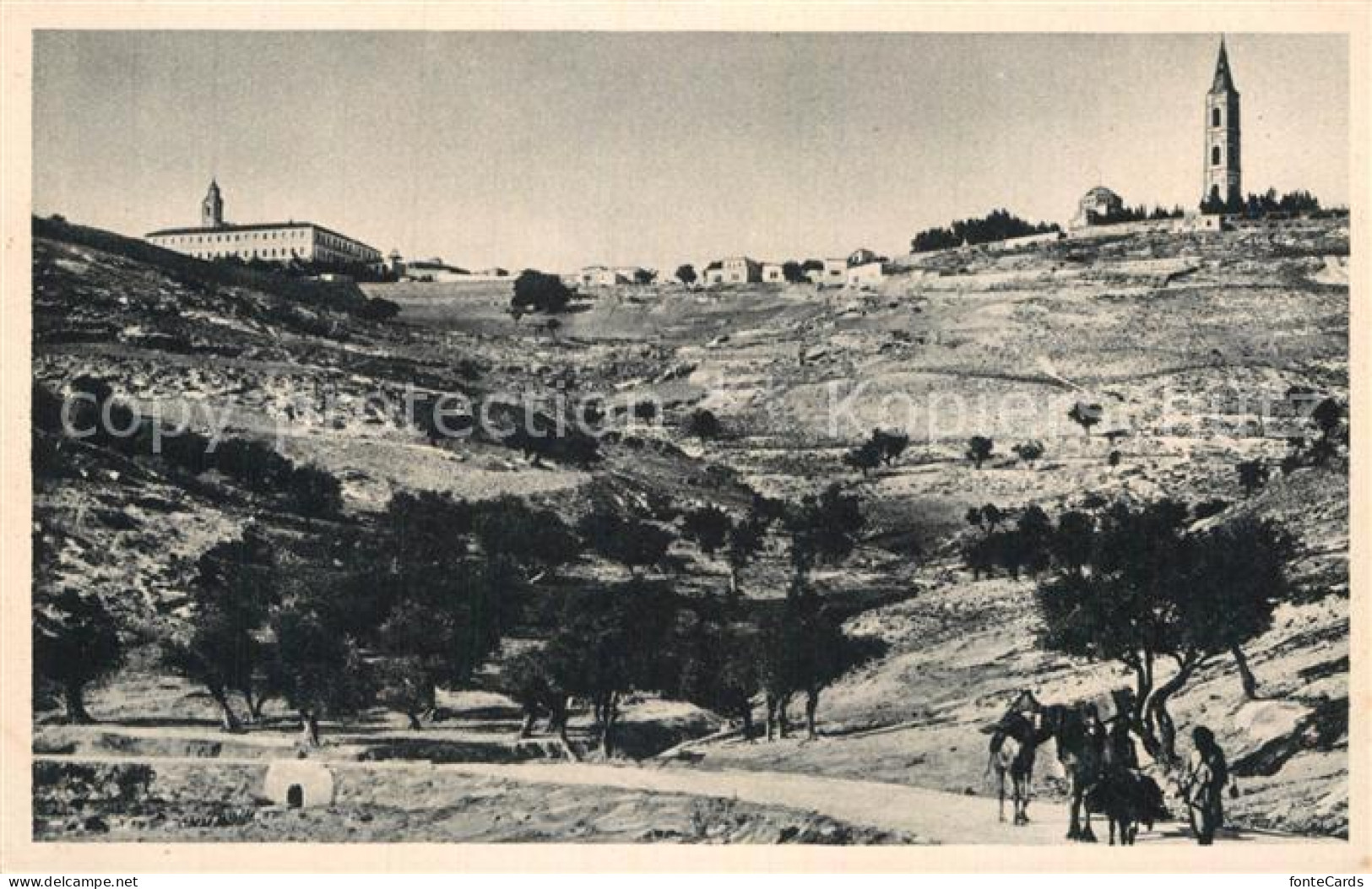 12995530 Jerusalem Yerushalayim Oelberg Bethanienweg  - Israel