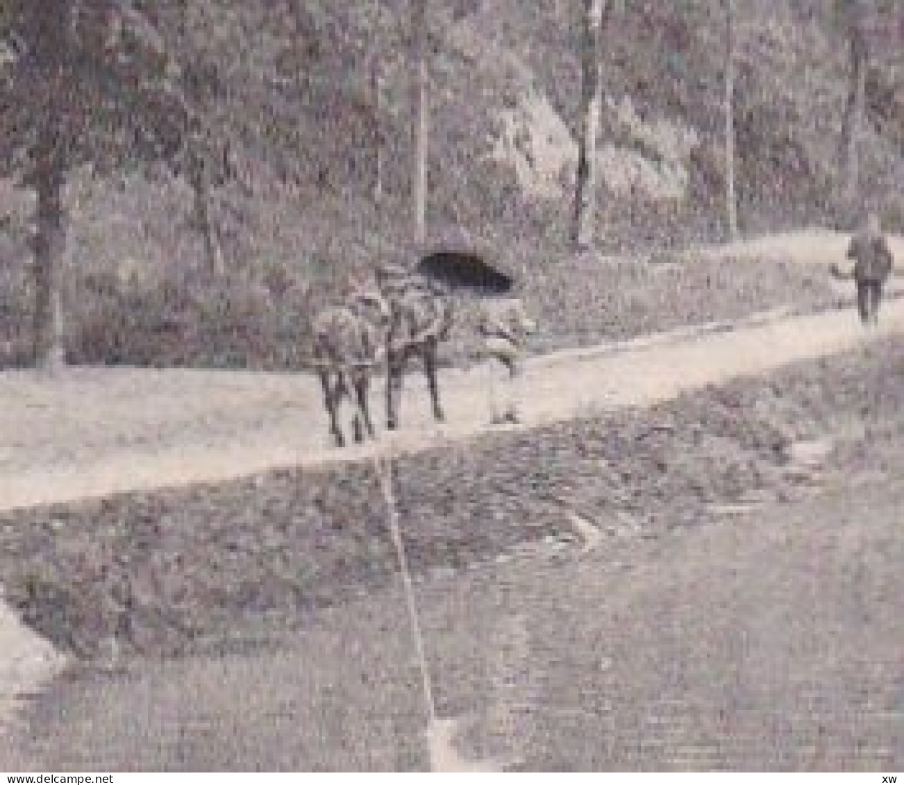 AGEN -47- Canal Du Midi - Barge Halée Par Des Chevaux - Animation - 27-04-24 - Agen