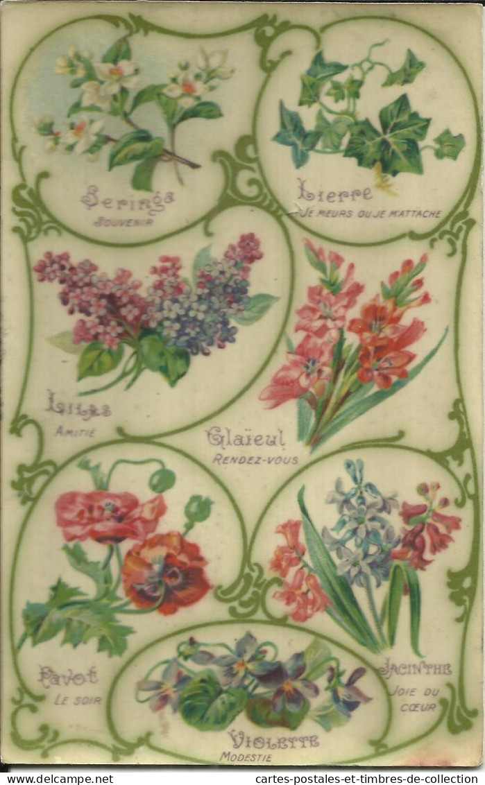 Seringa, Lierre, Lilas, Glaïeul, Pavot, Jacinthe & Violette , 1908 , µ - Flowers